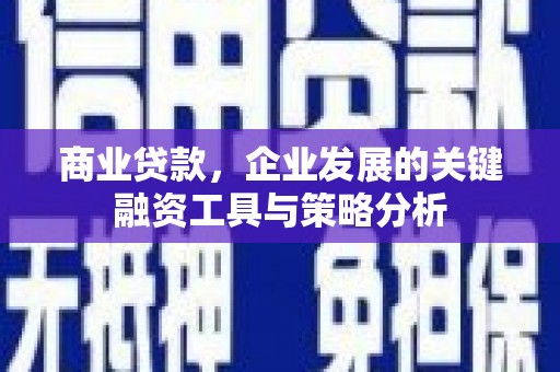 灵山商业贷款，企业发展的关键融资工具与策略分析