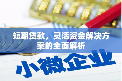 灵山短期贷款，灵活资金解决方案的全面解析