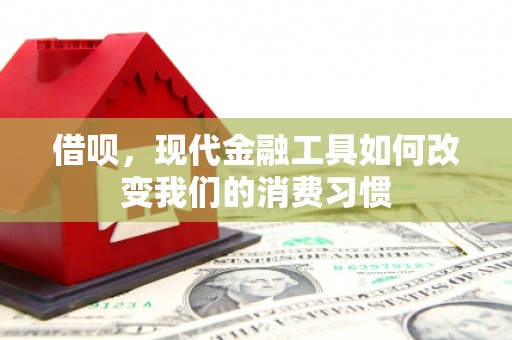 灵山借呗，现代金融工具如何改变我们的消费习惯