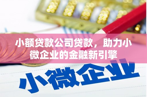 灵山小额贷款公司贷款，助力小微企业的金融新引擎
