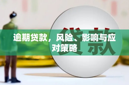 灵山逾期贷款，风险、影响与应对策略