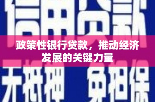 灵山政策性银行贷款，推动经济发展的关键力量