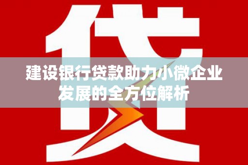 灵山建设银行贷款助力小微企业发展的全方位解析