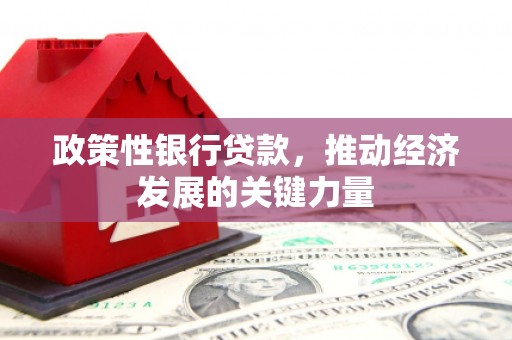 灵山政策性银行贷款，推动经济发展的关键力量