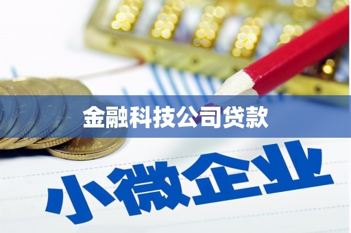 灵山金融科技公司贷款
