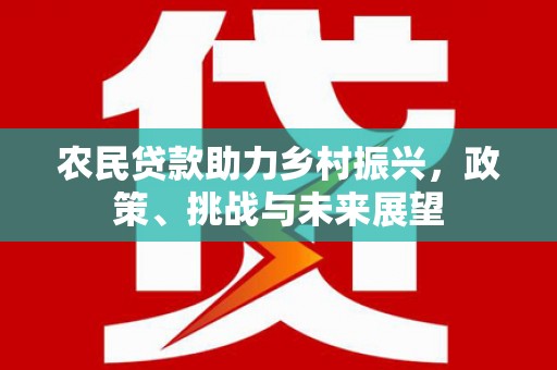 灵山农民贷款助力乡村振兴，政策、挑战与未来展望