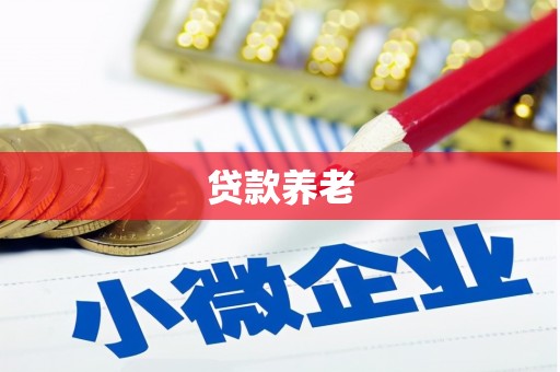 灵山贷款养老