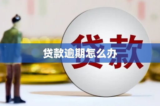 灵山贷款逾期怎么办
