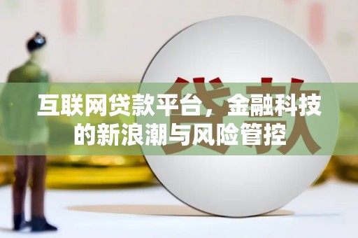 灵山互联网贷款平台，金融科技的新浪潮与风险管控
