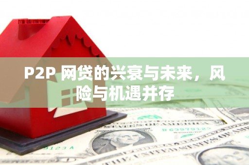 灵山P2P 网贷的兴衰与未来，风险与机遇并存