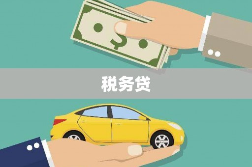 灵山税务贷