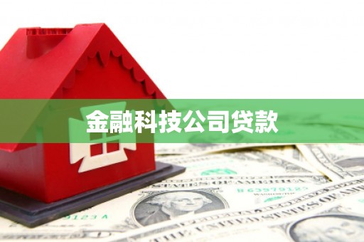 灵山金融科技公司贷款