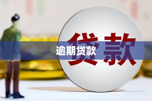 灵山逾期贷款