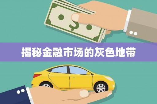 灵山揭秘金融市场的灰色地带