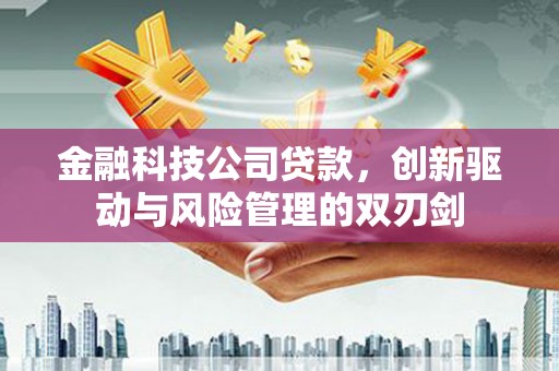 灵山金融科技公司贷款，创新驱动与风险管理的双刃剑