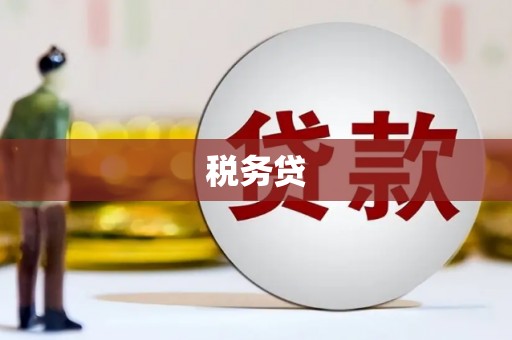 灵山税务贷